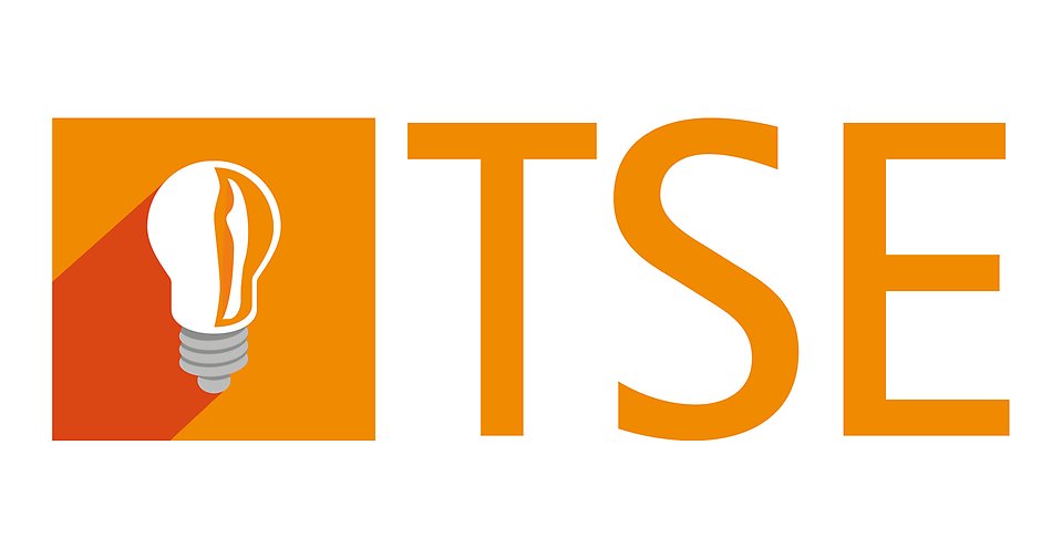 logo TSE